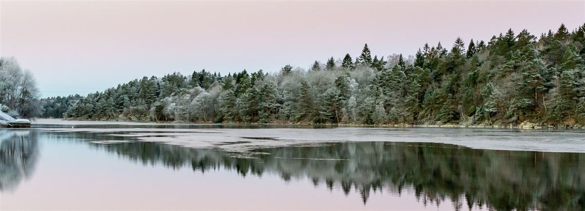 Waterlandschap met bomen in winterse sfeer